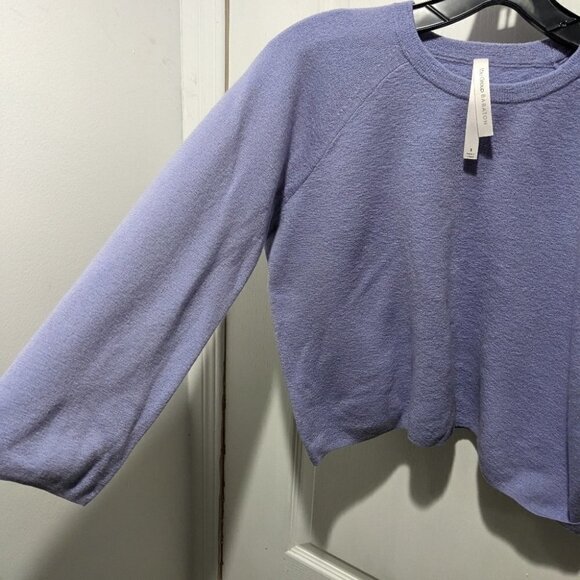 Aritzia The Group Babaton | Virginia Merino Wool Cropped Sweater - Picture 5 of 8